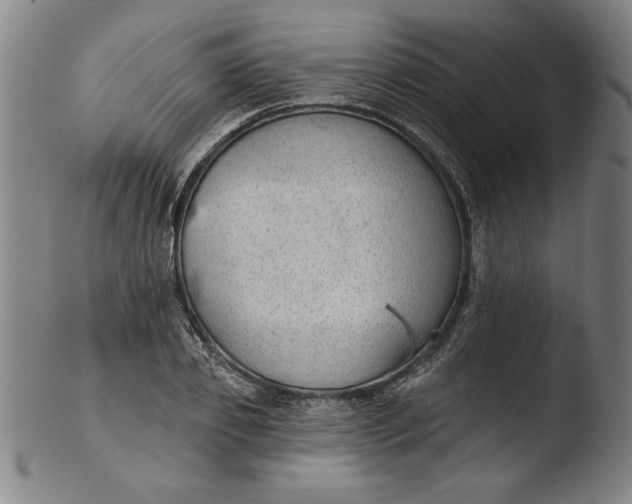 X0000103460933200809261837