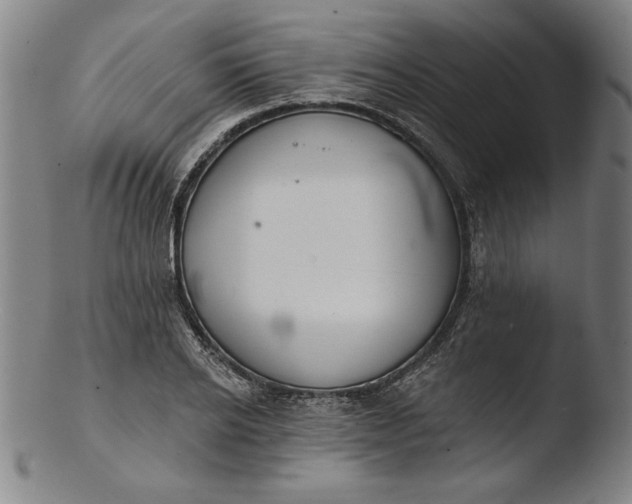 X0000103460934200809261837