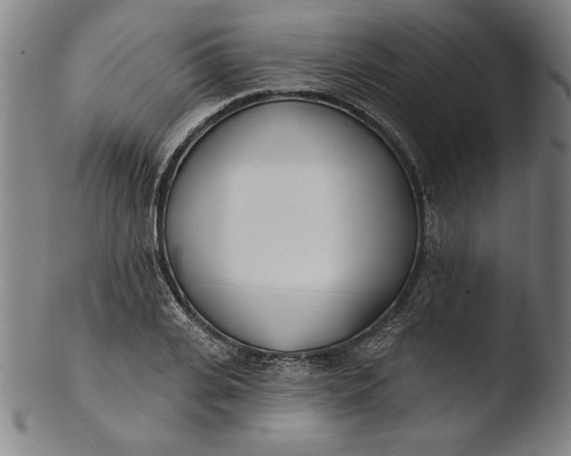 X0000103460935200809261837