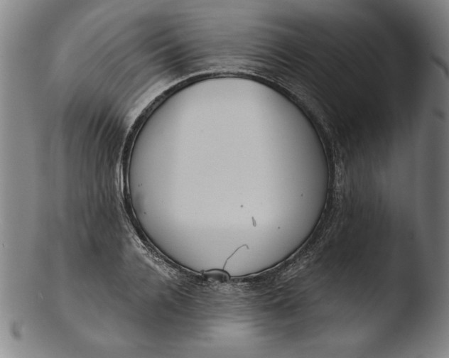 X0000103460936200809261837