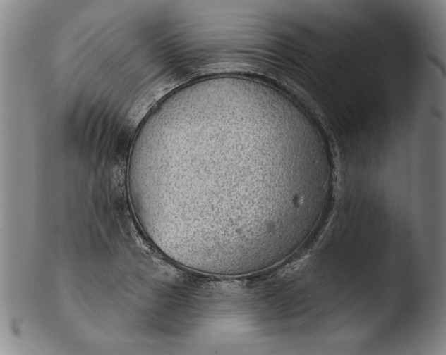 X0000103460937200809261837