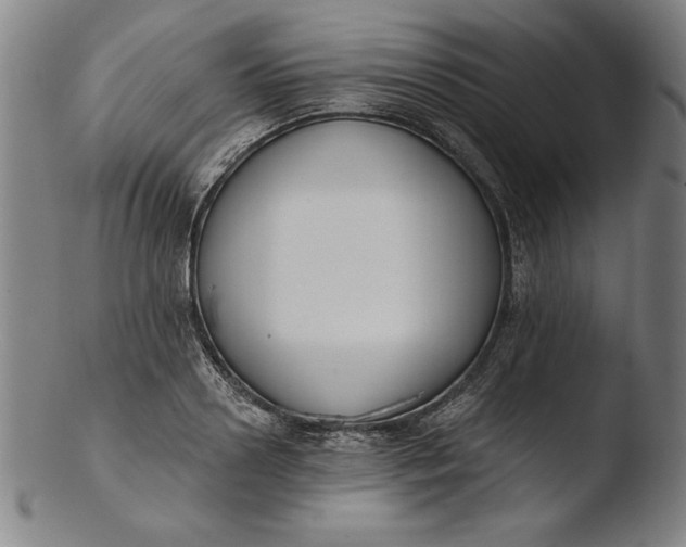 X0000103460938200809261837