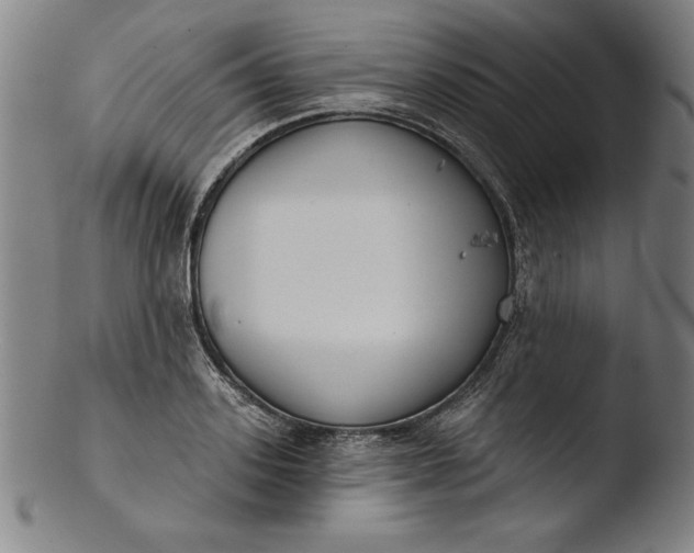 X0000103460939200809261837