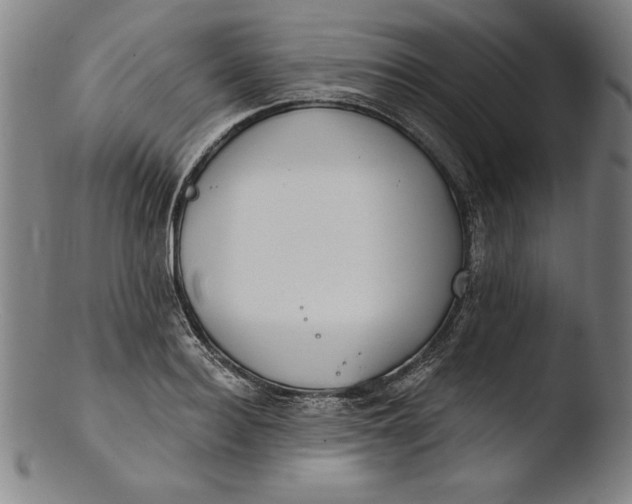 X0000103460940200809261837