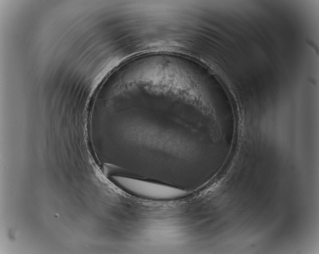 X0000103460941200809261837