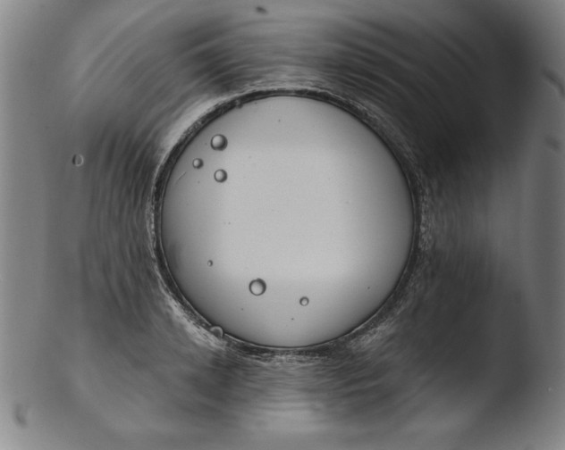 X0000103460942200809261837