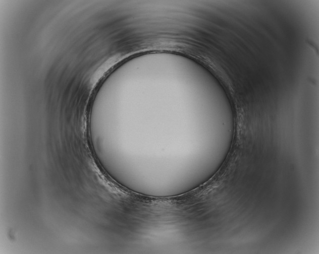 X0000103460944200809261838