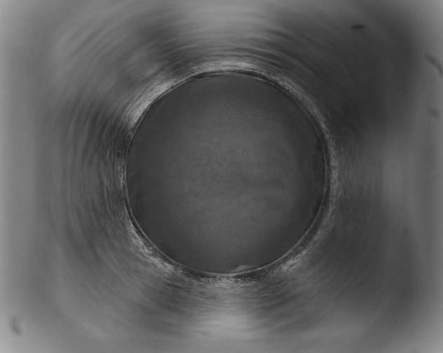 X0000103460945200809261838