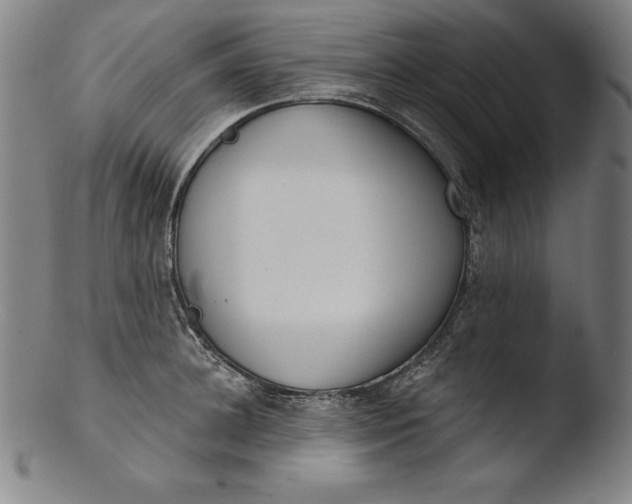 X0000103460948200809261838