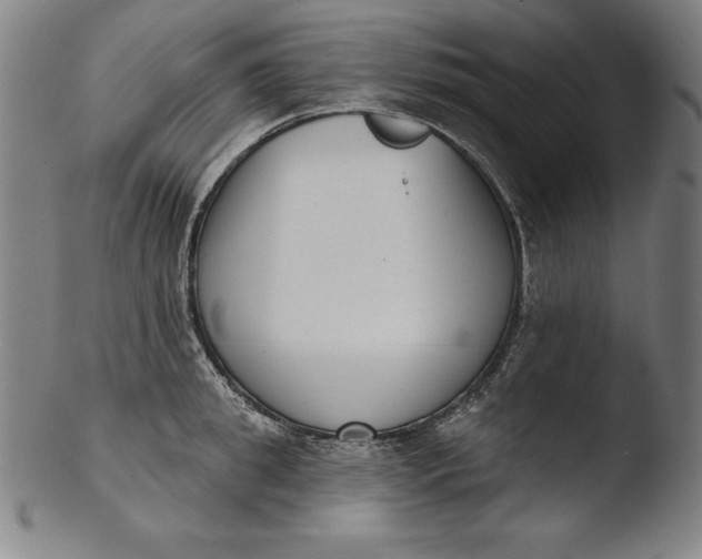 X0000103460949200809261838