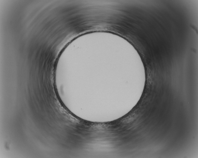 X0000103460950200809261838