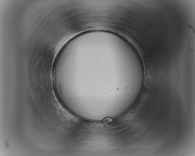 X0000103460951200809261838