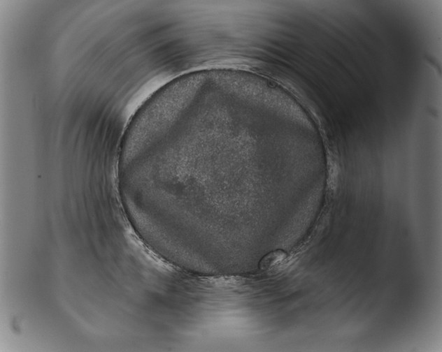 X0000103460952200809261838