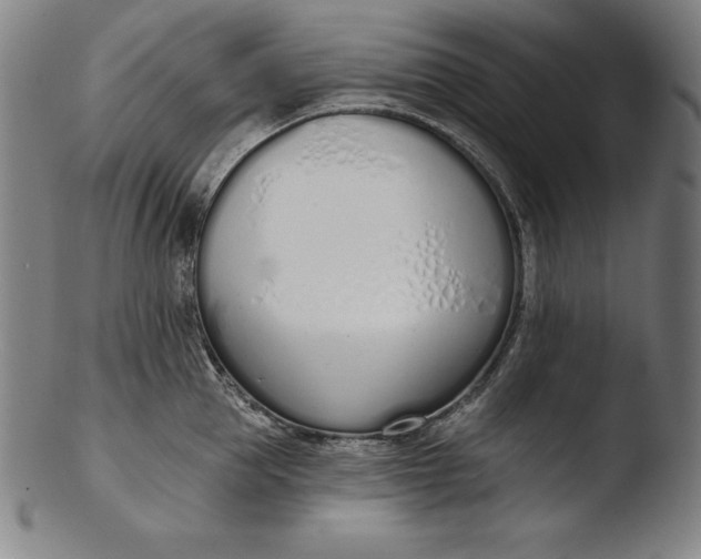 X0000103460953200809261838