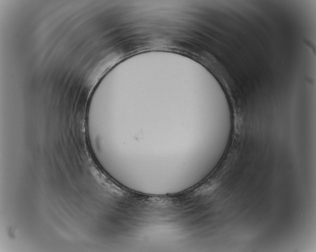 X0000103460954200809261838