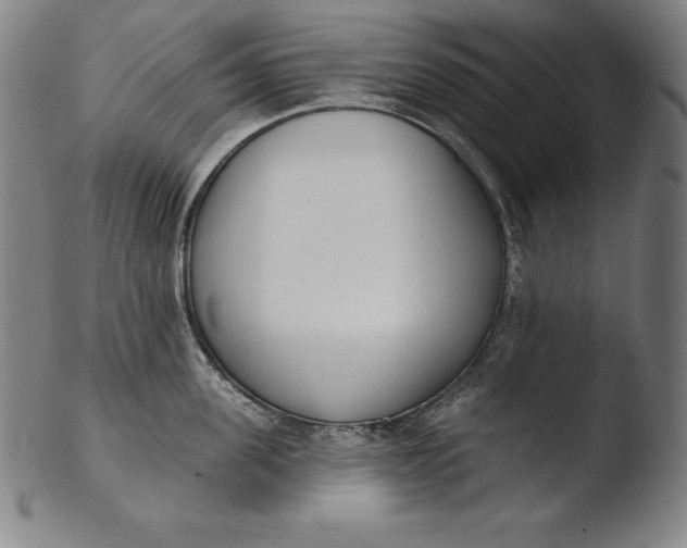 X0000103460955200809261838