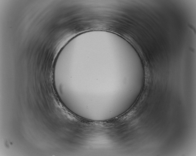 X0000103460956200809261838