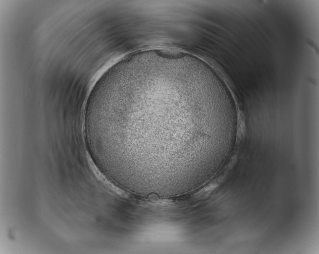 X0000103460957200809261838