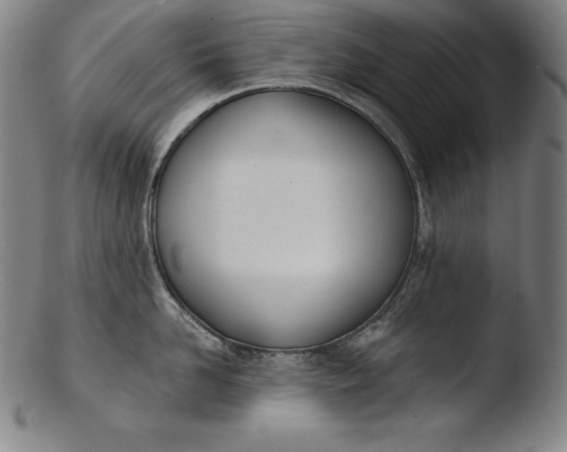 X0000103460958200809261838