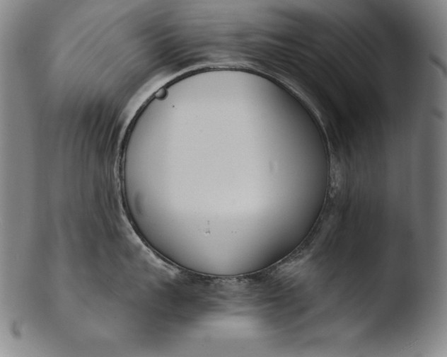 X0000103460959200809261838