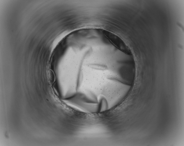 X0000103460960200809261838