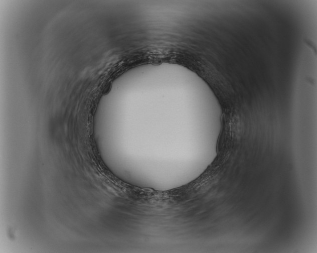 X0000103460961200809261837