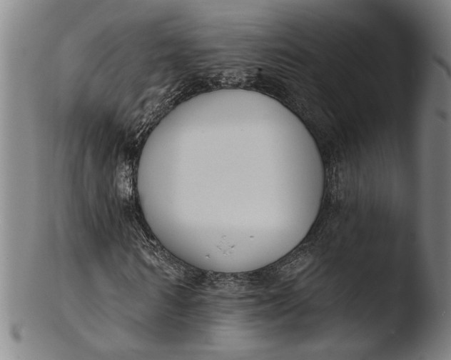 X0000103460962200809261837