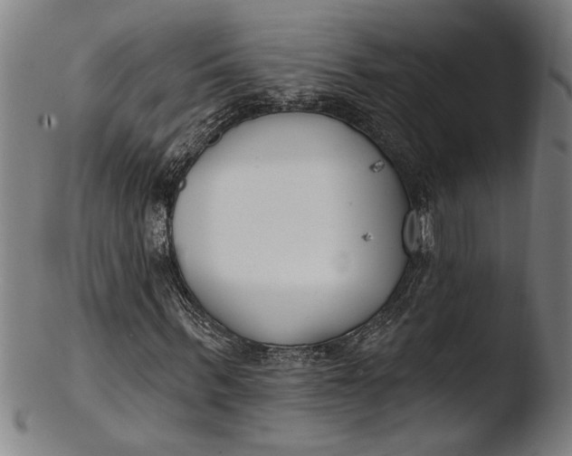 X0000103460963200809261837