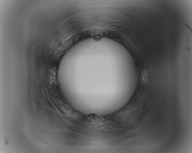 X0000103460964200809261837