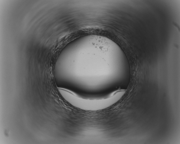 X0000103460965200809261837