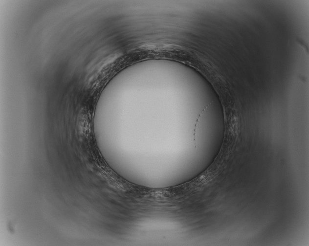 X0000103460966200809261837