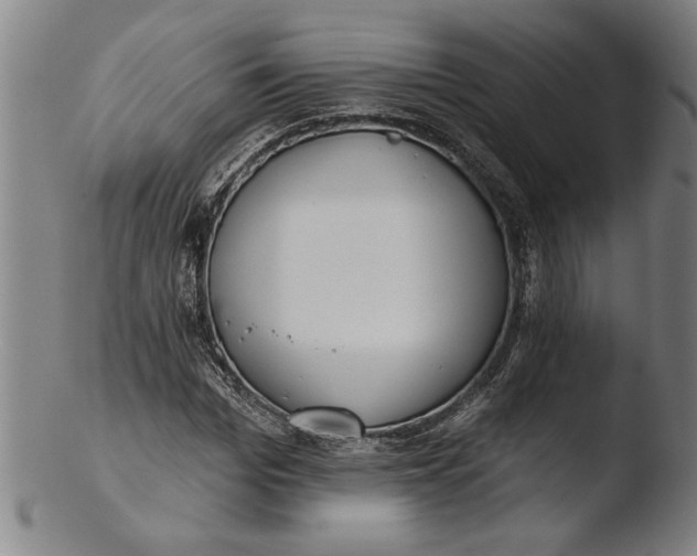 X0000103460969200809261837