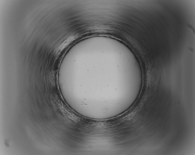 X0000103460970200809261837