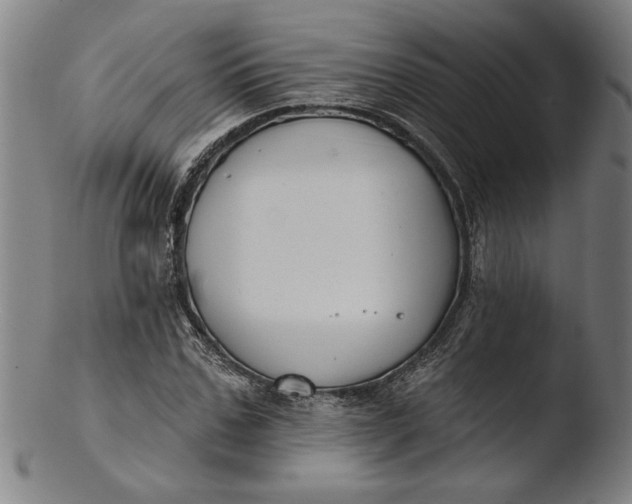 X0000103460971200809261837