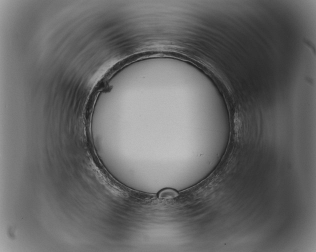 X0000103460972200809261837