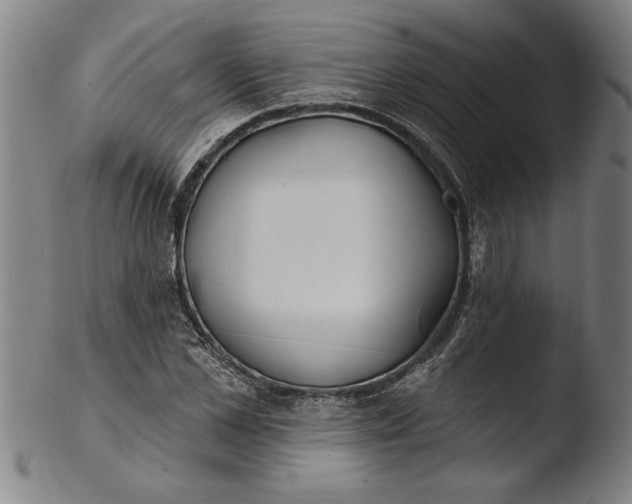 X0000103460973200809261837