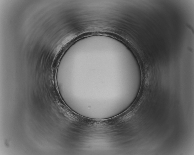 X0000103460974200809261837