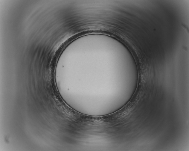 X0000103460975200809261837