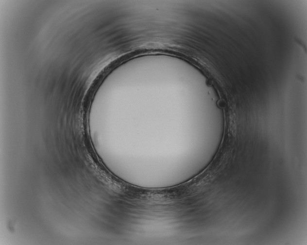 X0000103460976200809261837