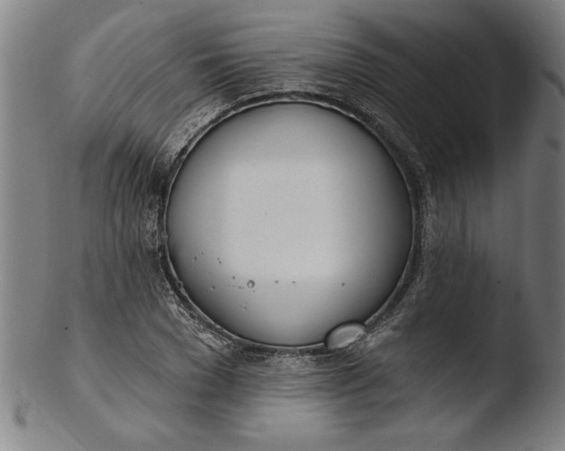 X0000103460977200809261837