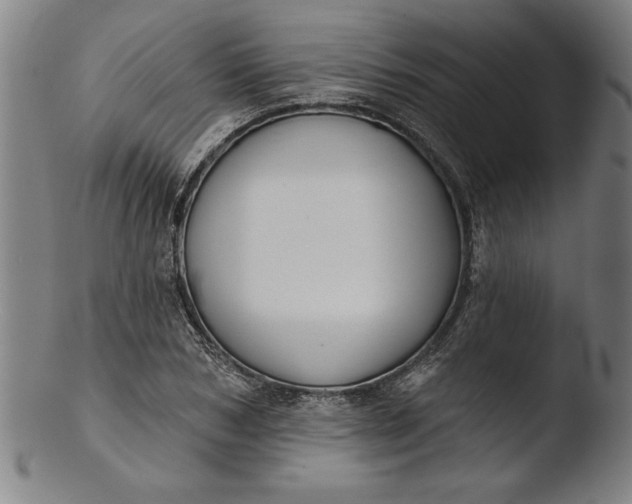 X0000103460978200809261837