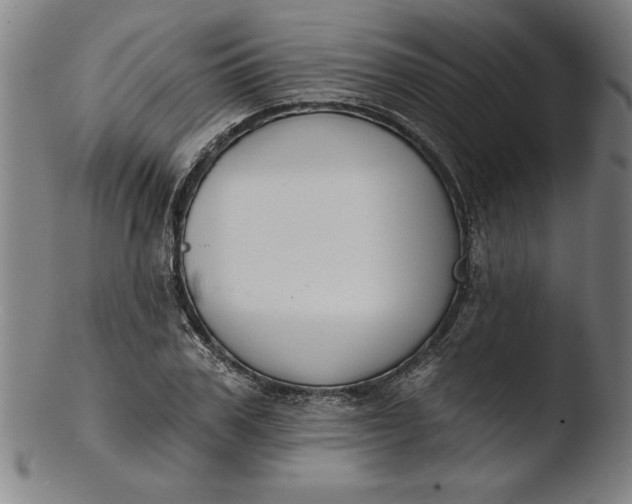 X0000103460979200809261837