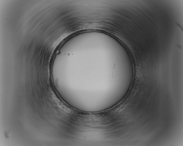 X0000103460980200809261836