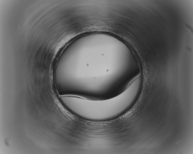 X0000103460981200809261836