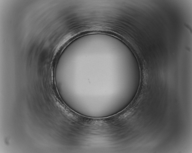 X0000103460982200809261836