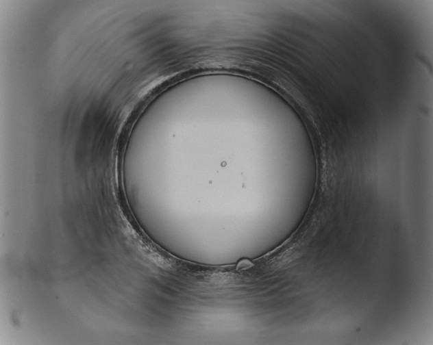 X0000103460984200809261836