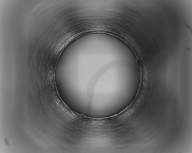 X0000103460985200809261836