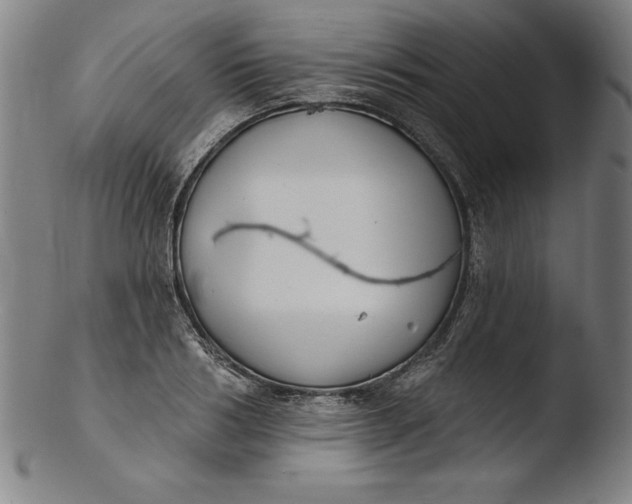 X0000103460986200809261836