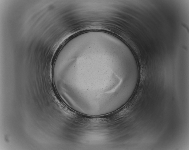 X0000103460988200809261836