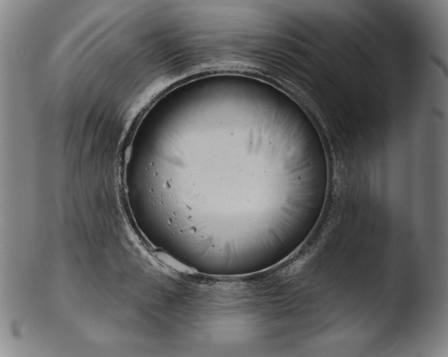 X0000103460989200809261836